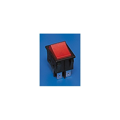 INTERRUPTORES BASCULANTES DOBLES