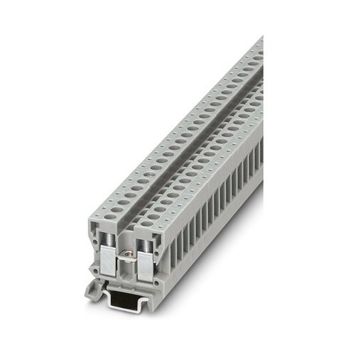 PHOENIX MINIBORNA DE PASO