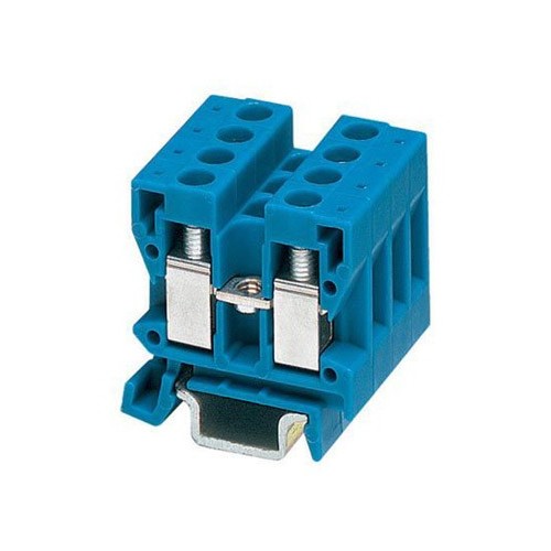 PHOENIX MINIBORNA DE PASO